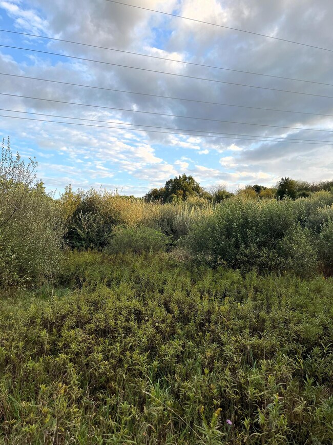 0 Dexter Chelsea Dr Parcel B 3 unit 24052080, Dexter, MI 48130 - photo 6