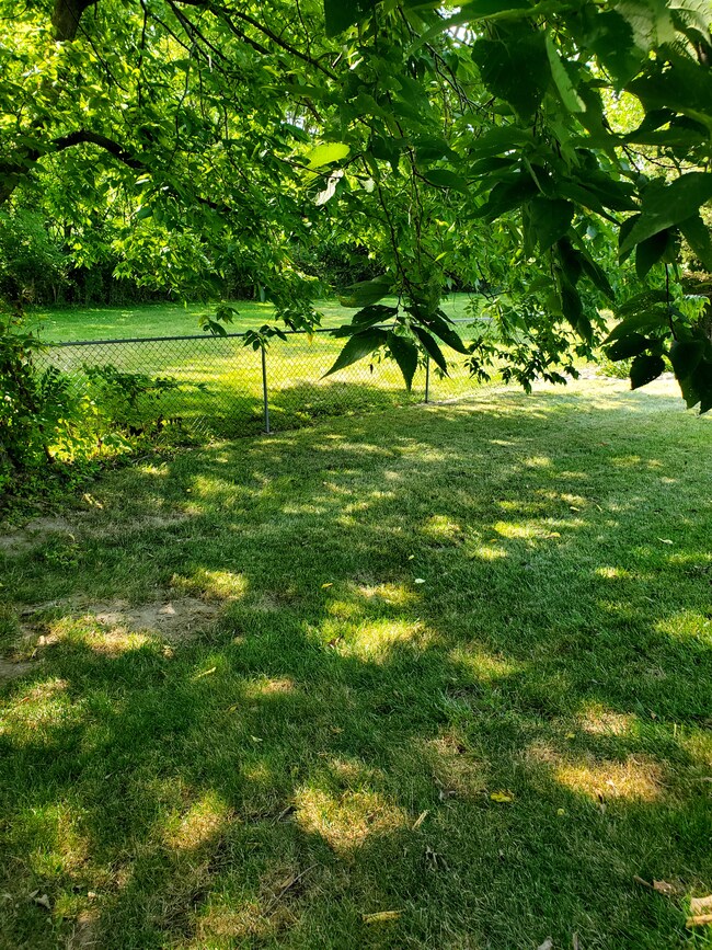 1065 Ina Cir, Franklin, IN 46131 - photo 6