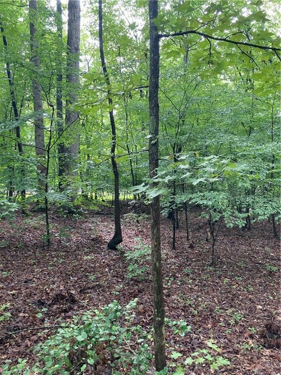 1405 Mack Rd, Asheboro, NC 27205 - photo 4