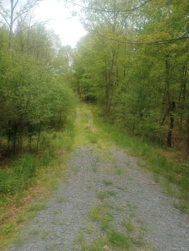 Myers RD. Westtown, Myers Rd, Minisink, NY 10998 - photo 2