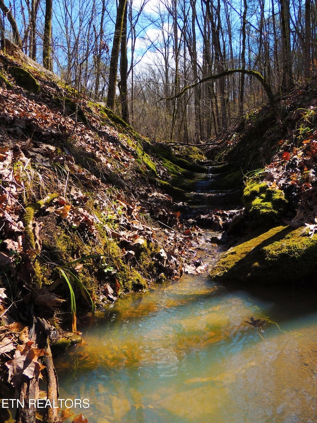 0 Thorngrove Pike unit RTC2907201, Knoxville, TN 37871 - photo 5