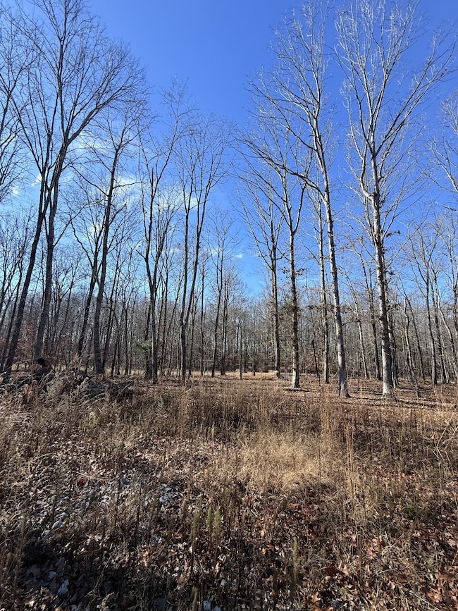 0 Deerwood Dr unit RTC3060905, Sewanee, TN 37375 - photo 5