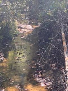 0 County Road 600, Booneville, MS 38829 - photo 4