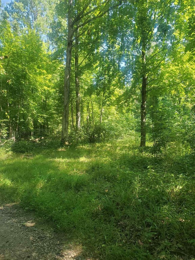 0 E 300 N, Otterbein, IN 47970 - photo 2