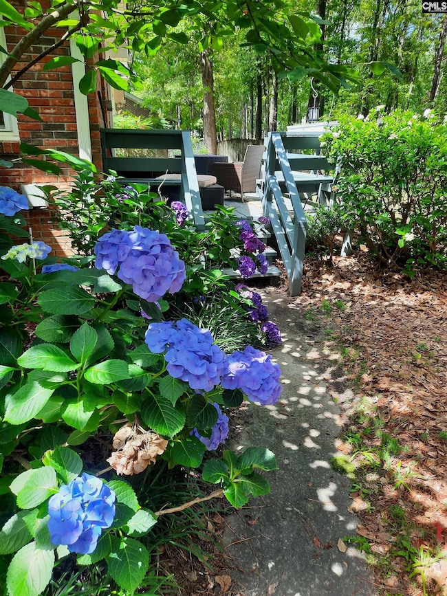 257 Brookspring Rd, Columbia, SC 29223 - photo 5