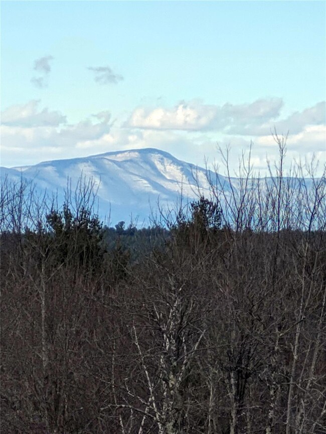 0 Manor Rock Rd unit KEY824115, Craryville, NY 12521 - photo 5