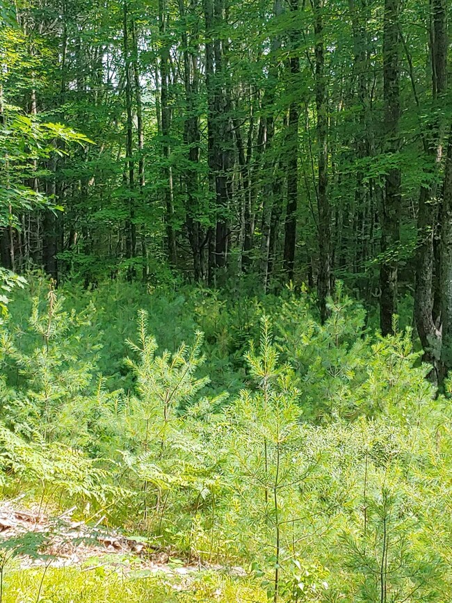 0716211011_HDR