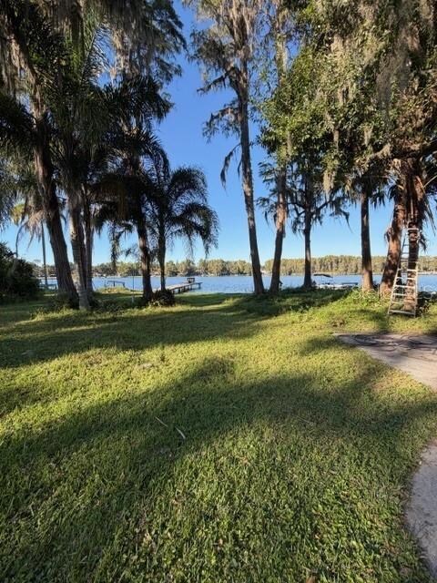 5211 Wilcox Rd, Tampa, FL 33624 - photo 5