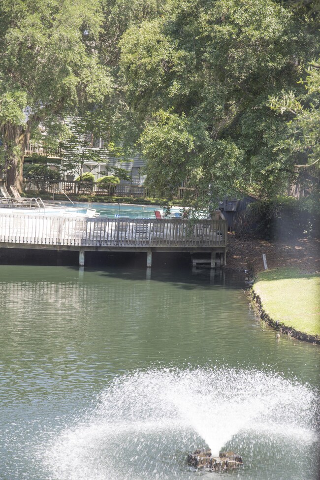 Pond and Pool View from Covered Porch