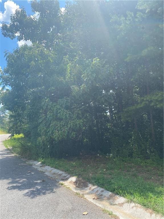 39 Etowah Ln SW, Cartersville, GA 30120 - photo 2