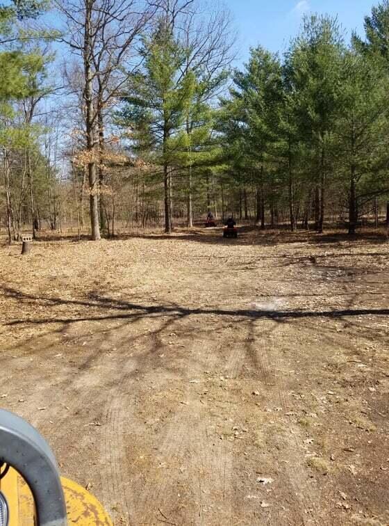 V/L W 14 Mile Rd, Lilley Township, MI 49309 - photo 6