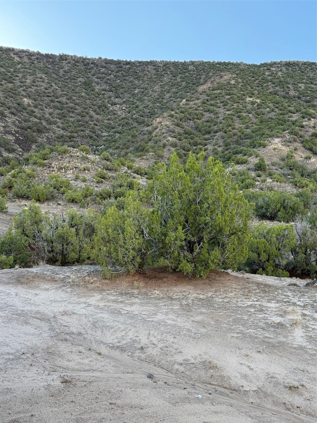 TBD LOT 3 Juniper Rd, Ojo Caliente, NM 87549 - photo 7