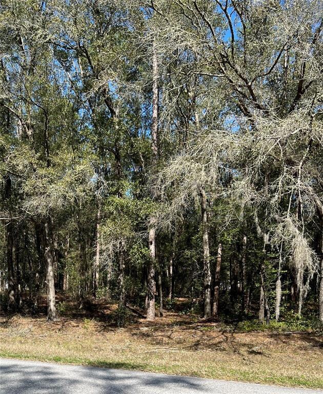 00 SW 102 Street Rd, Dunnellon, FL 34431 - photo 2