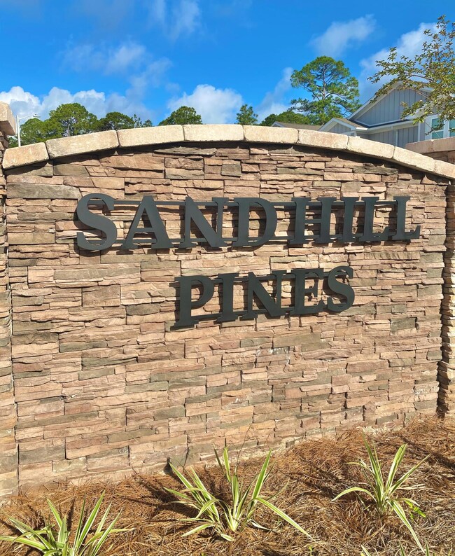 Sandhill Pines 2