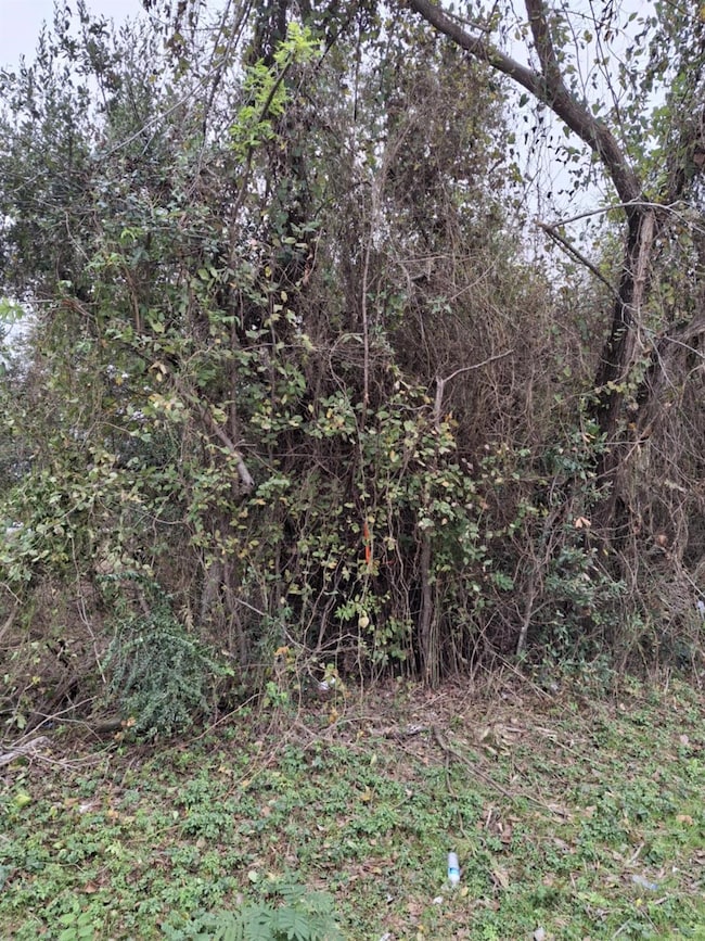View of nature