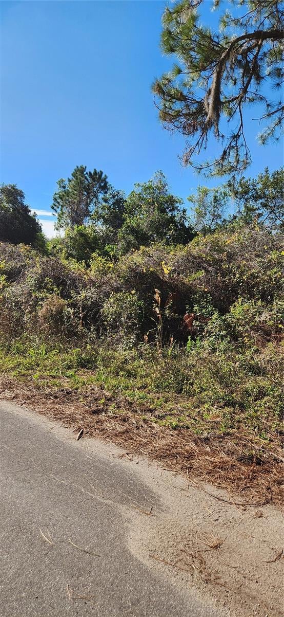 0000 Malauka Radial, Ocklawaha, FL 32179 - photo 2