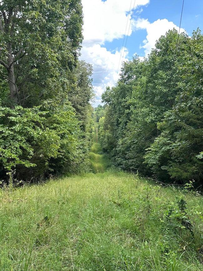 781 Apple Ln, Cynthiana, KY 41031 - photo 4