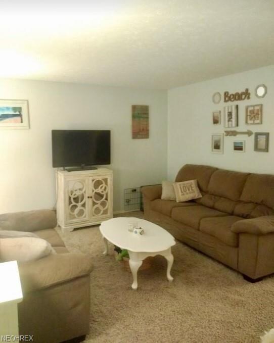 225 Glendale St, Lagrange, OH 44050 - photo 4