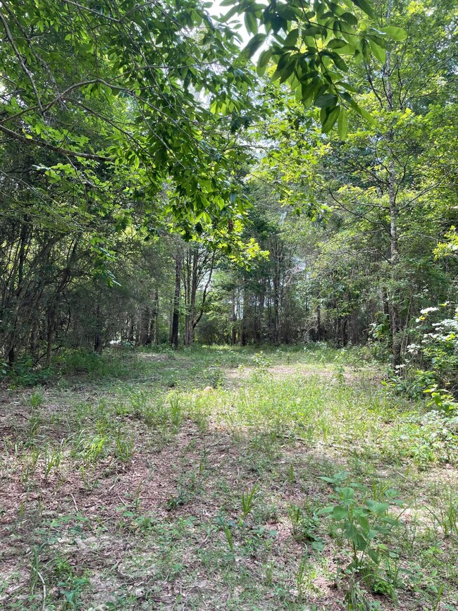 IMG-7647