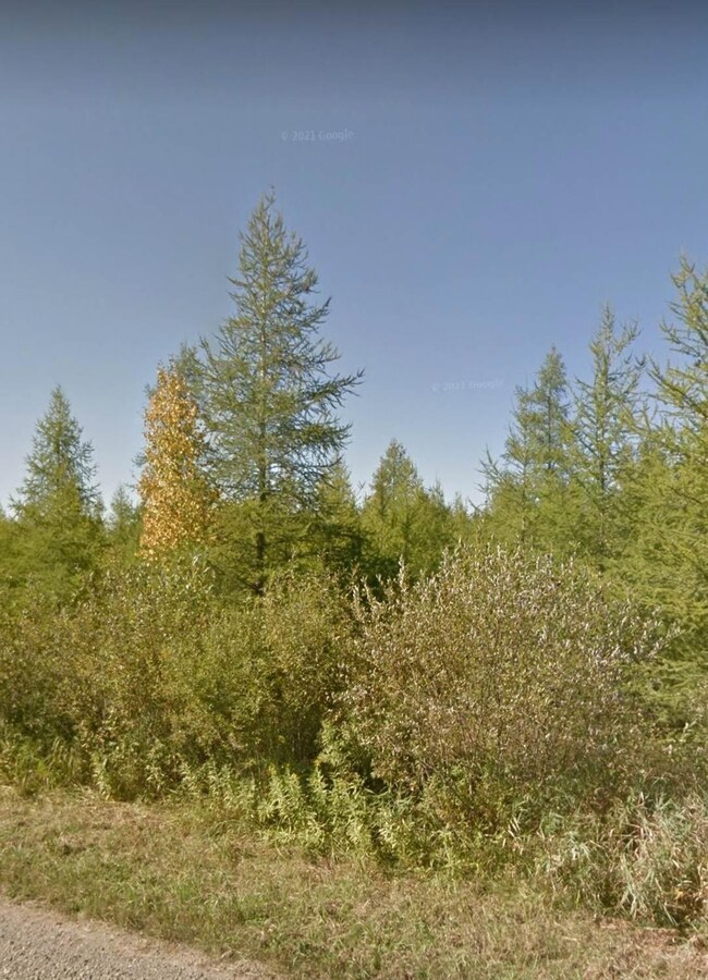 XXXX Saint Louis Co 991, Meadowlands Township, MN 55765 - photo 2