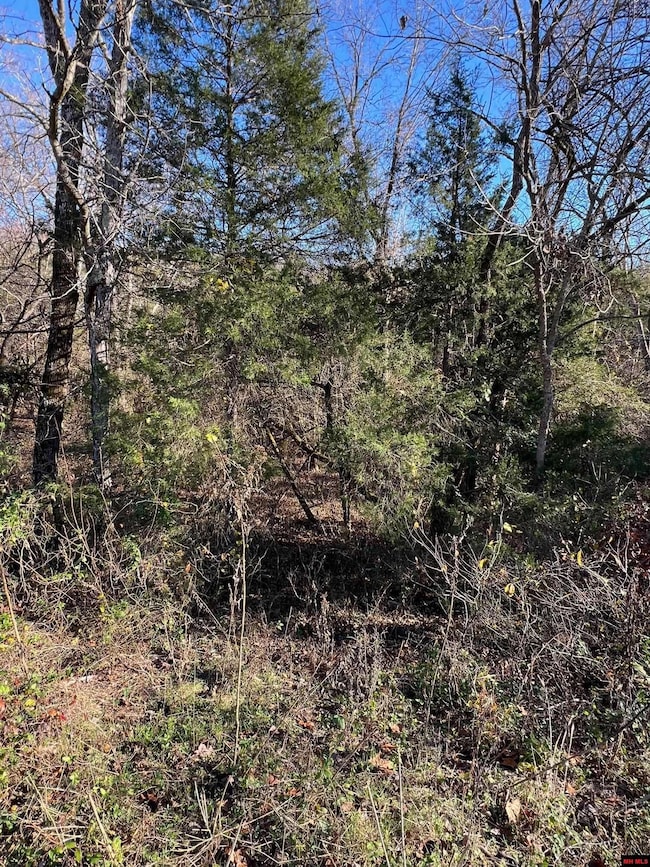 001-08378-001 Highway 62 W, Pyatt, AR 72672 - photo 4