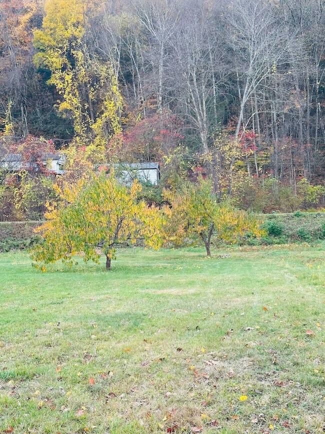 476 Missing Link Rd, Springfield, VT 05156 - photo 4