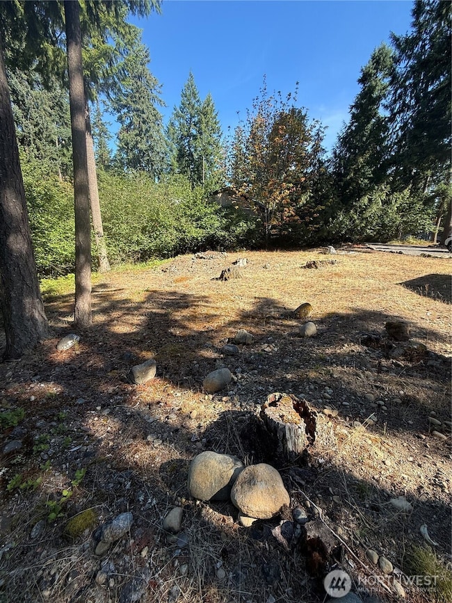 18313 Lofty Ct SE, Yelm, WA 98597 - photo 6