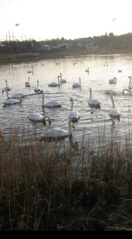 76 Front St, Swansea, MA 02777 - photo 6