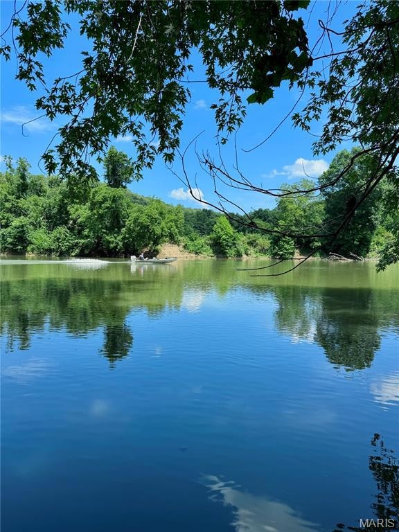 Water view with a heavily wooded area