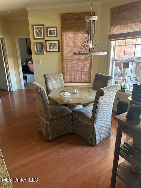 202 Shaw Cv DR