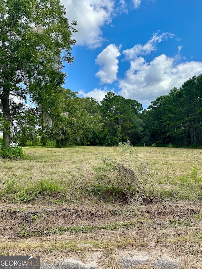 3360 Strickland Avenue Extension, Blackshear, GA 31516 - photo 5