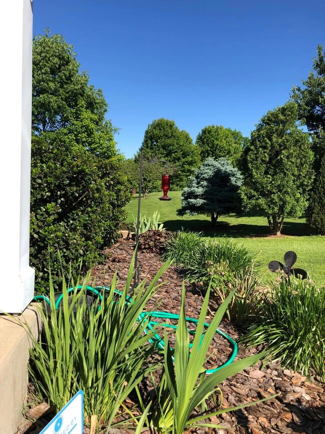 Side yard