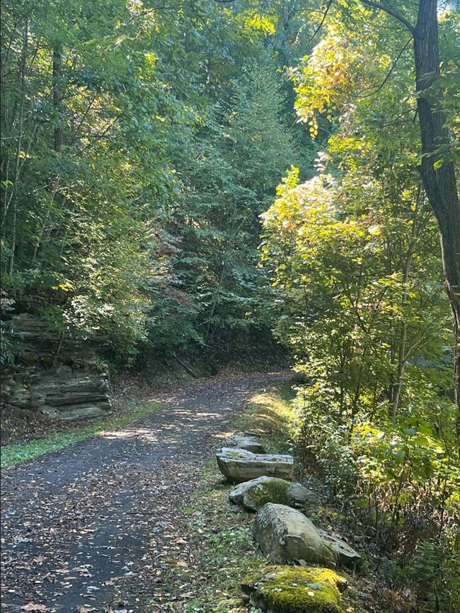 25 25 Stoney Bluff, Bryson City, NC 28803 - photo 7