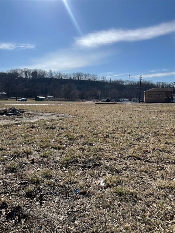 11th Street & 1st Ave, Beaver Falls, PA 15010 - photo 3