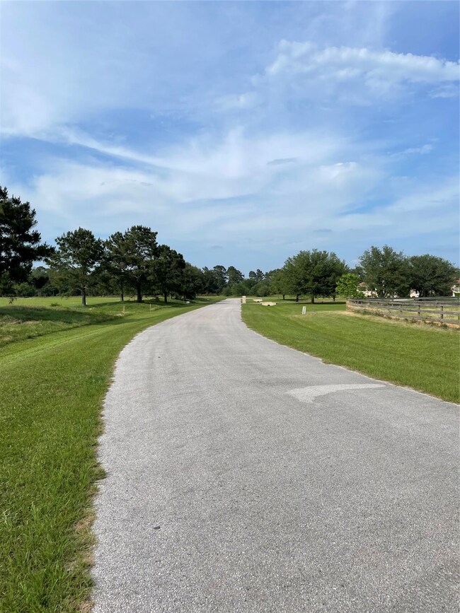 390 Meadow Lake, Magnolia, TX 77355 - photo 2