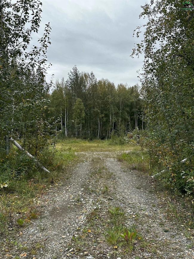 3151 Badger Rd, North Pole, AK 99705 - photo 2