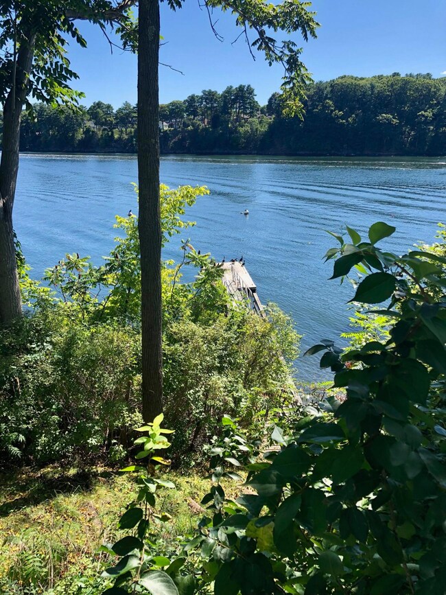 #2 - Dock at high tide