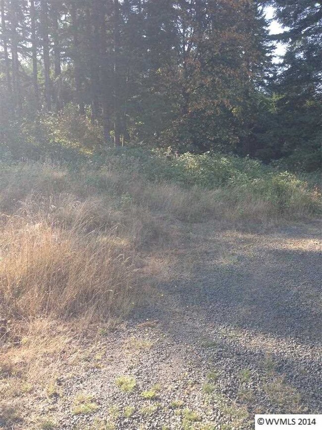 0 Mirror Pond Estates Lot 2 unit 682783, Amity, OR 97101 - photo 4