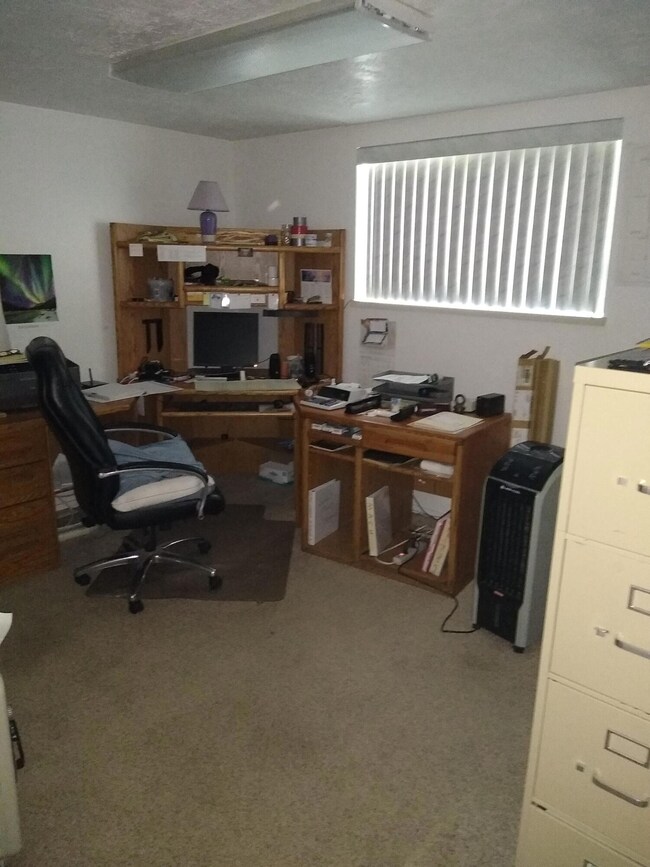 basebed 5