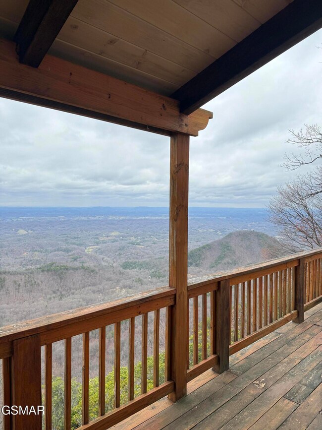 Views from the back porch