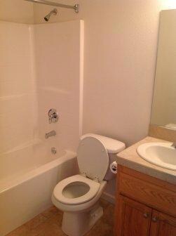 1175 Le Brun bath.jpg