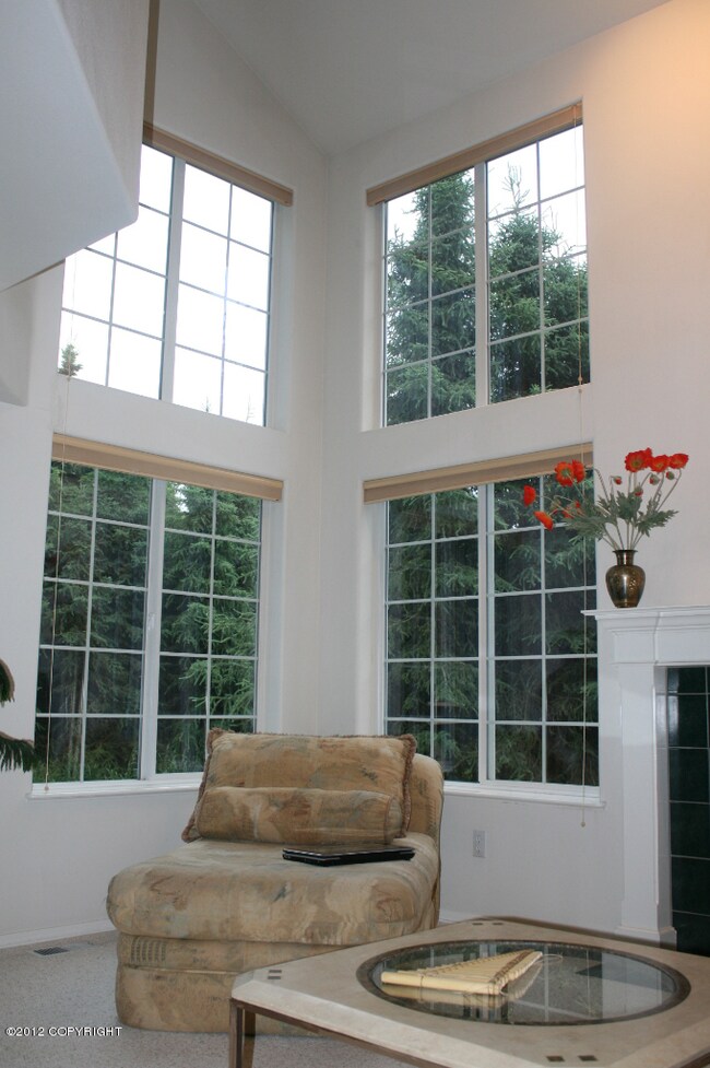5 Windows in the living room