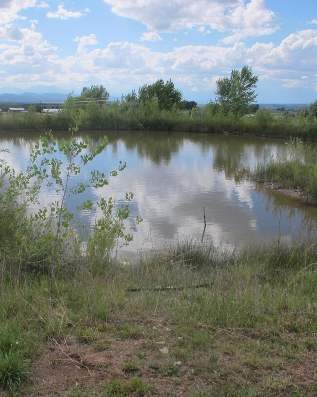 GoldUpperPond2