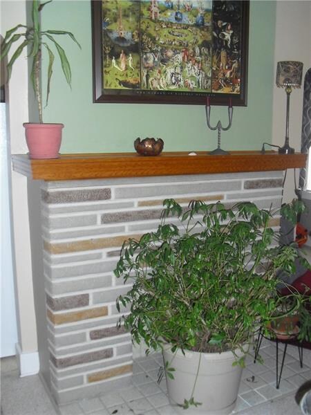 The decorative fireplace in the living room.