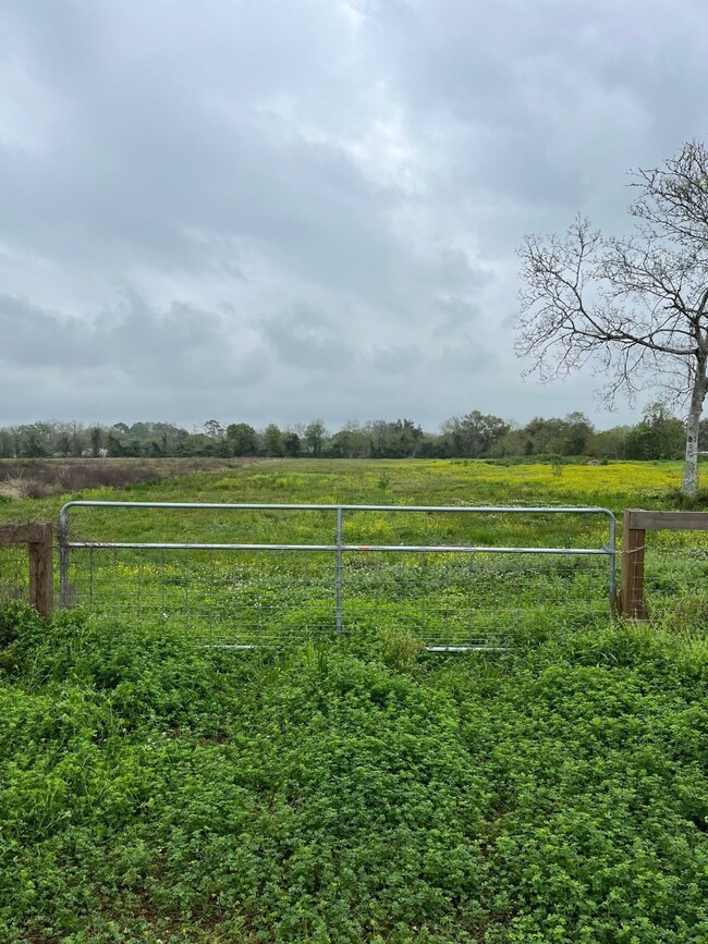 4909 Ike Franks Rd, Arcadia, TX 77517 - photo 3