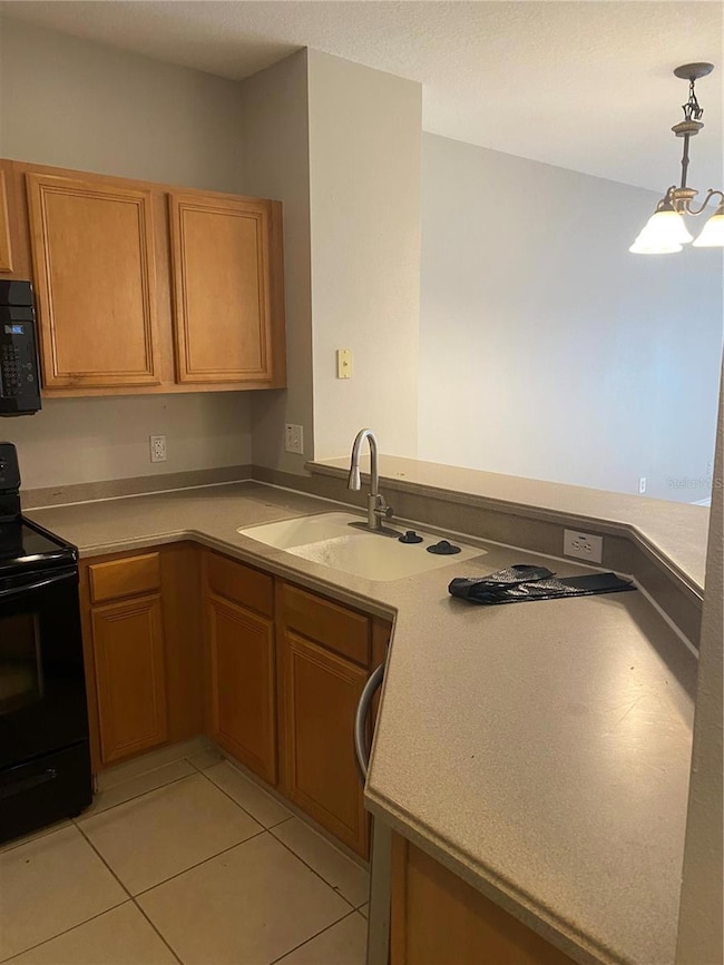 20406 Needletree Dr unit 20406, Tampa, FL 33647 - photo 4