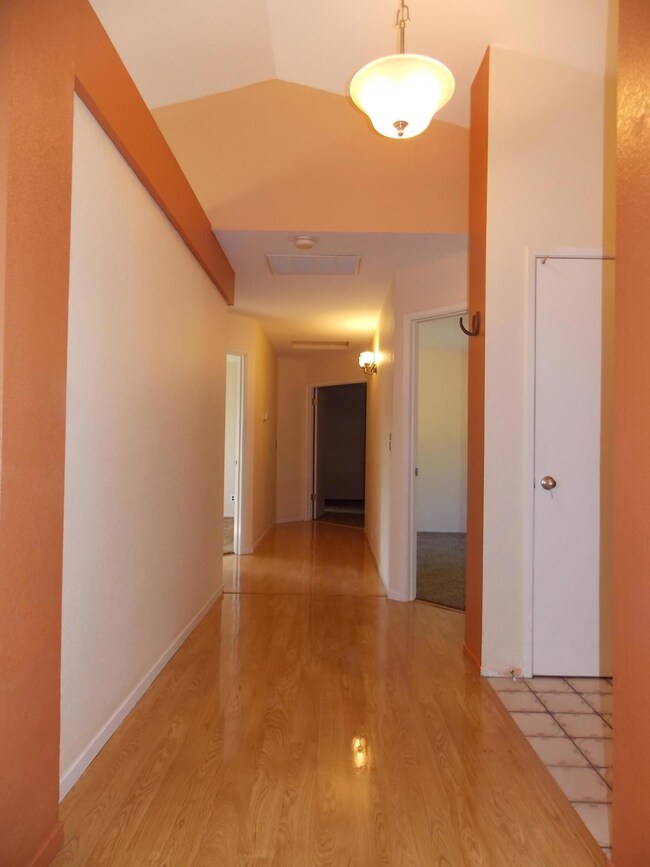 Photo6