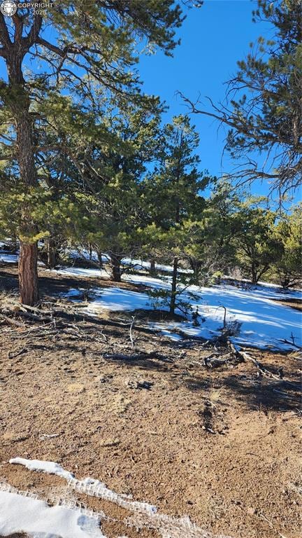 TR-82 35th Trail, Cotopaxi, CO 81223 - photo 3