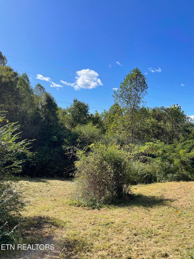 06809BB3-E884-41D0-9BBD-70D03A47BB4E