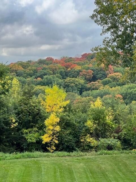 Truly stunning view out your window! Wow!